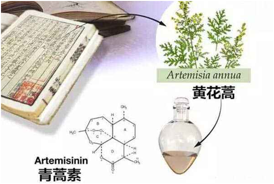 OD平台,OD（中国）：向中医药看齐，与世界共享中医药文化(图1)